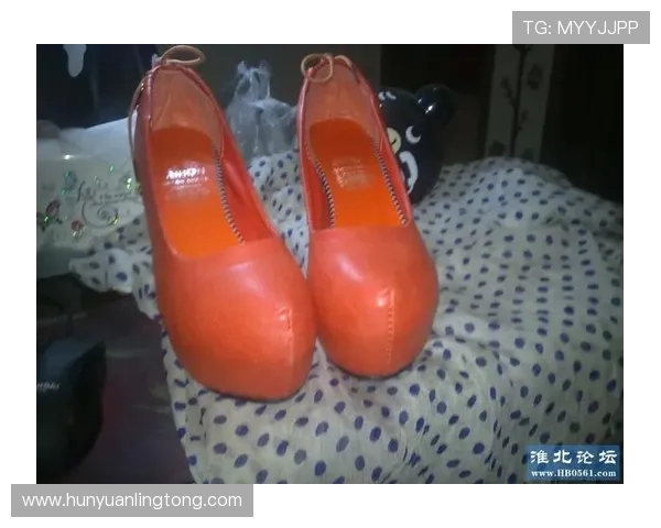 凯发网网站登录入口官网网址常见问题及解决方案推荐